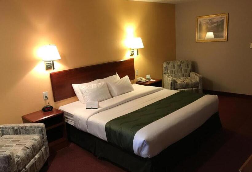 스탠다드 룸 킹사이즈 침대, Quality Inn Cedar City   University Area