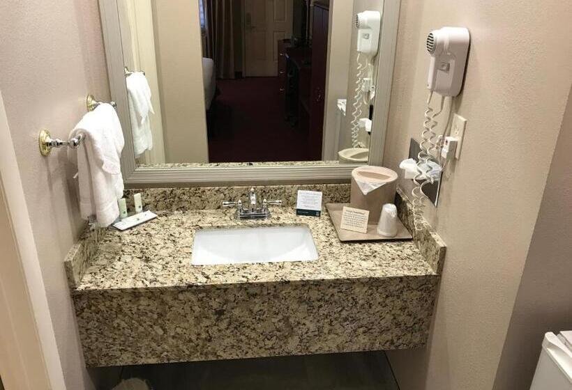 스탠다드 룸 킹사이즈 침대, Quality Inn Cedar City   University Area