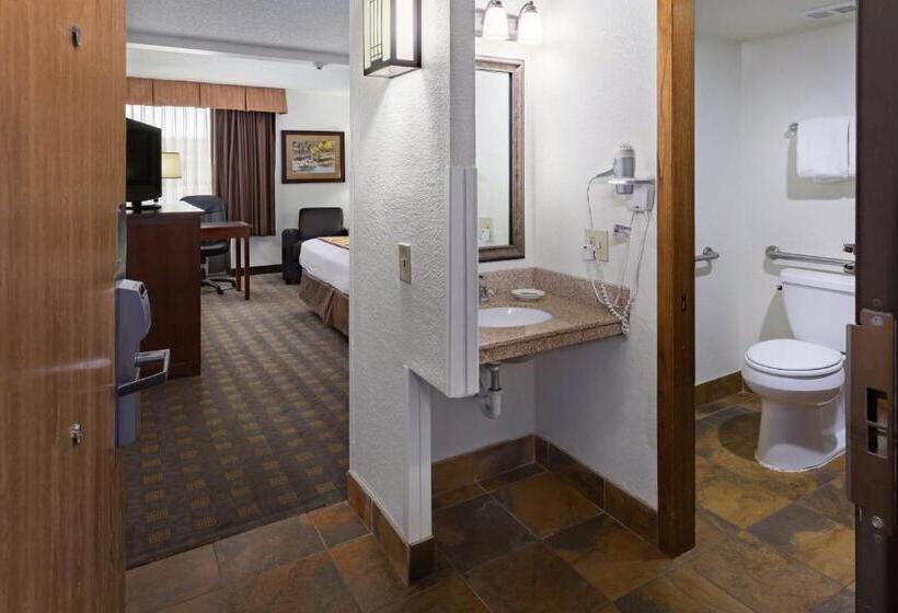 Номер Стандарт Кровать Кинг Адаптированный для Инвалидов, Ramkota Hotel   Casper