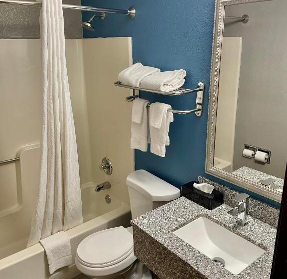 اتاق استاندارد با تخت بزرگ, American Inn Cedar Rapids South