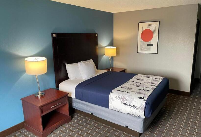 اتاق استاندارد با تخت بزرگ, American Inn Cedar Rapids South