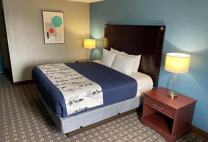 اتاق استاندارد با تخت بزرگ, American Inn Cedar Rapids South