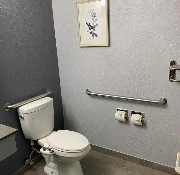 اتاق استاندارد, American Inn Cedar Rapids South