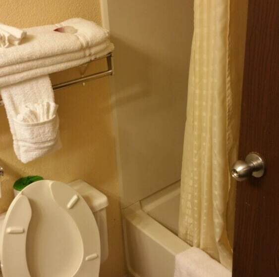 小型套房, Americourt Hotel And Suites   Elizabethton