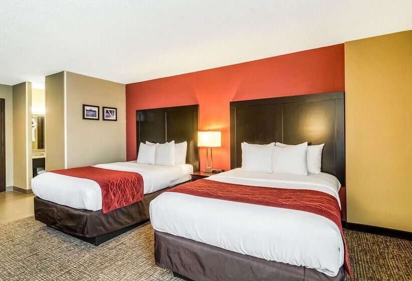 Camera Standard 2 Letti Matrimoniali, Comfort Inn Convention Centerchicago O Hare Airport