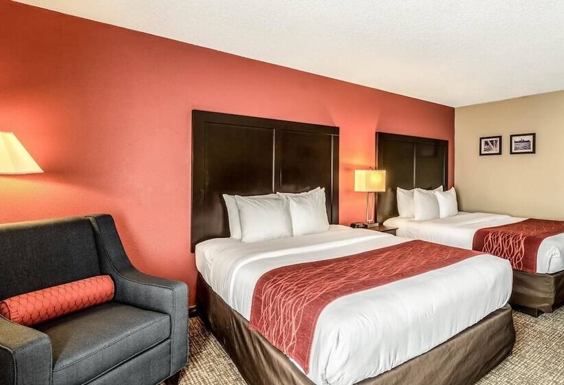 Camera Standard 2 Letti Matrimoniali, Comfort Inn Convention Centerchicago O Hare Airport
