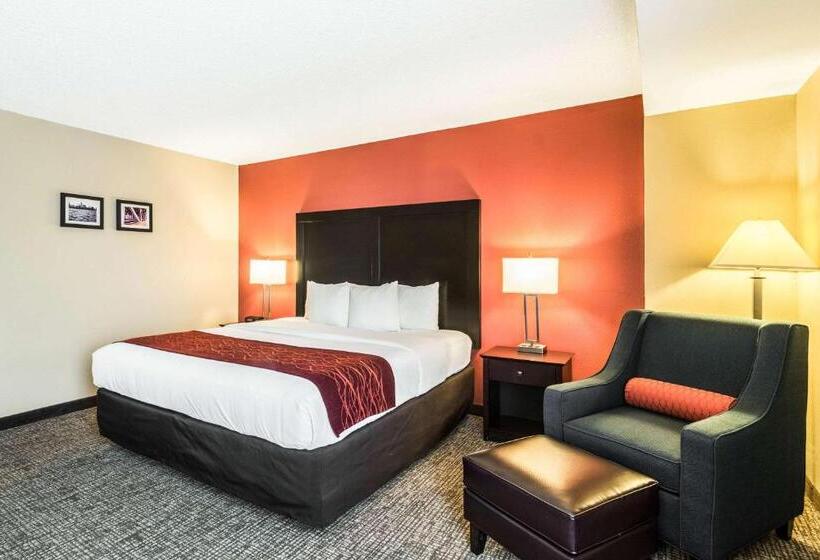 Camera Standard Letto King, Comfort Inn Convention Centerchicago O Hare Airport
