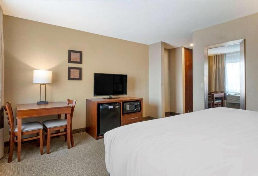 اتاق استاندارد با تخت بزرگ, Comfort Inn