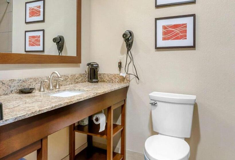 Номер Стандарт, Comfort Inn