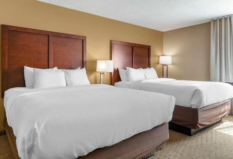 Номер Стандарт, Comfort Inn