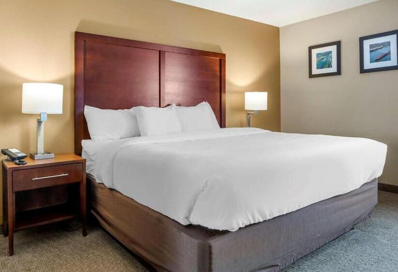Люкс Повышенной Комфортности, Comfort Inn