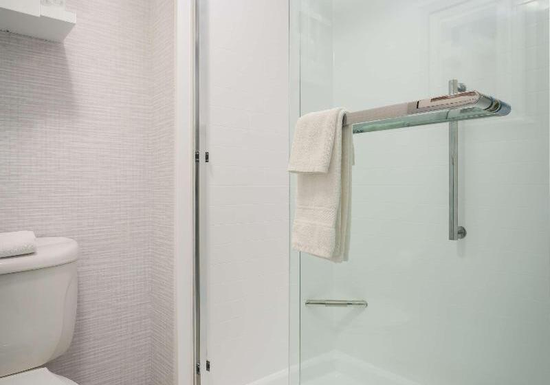 Люкс Кровать Кинг, Comfort Inn & Suites Orange County John Wayne Airport