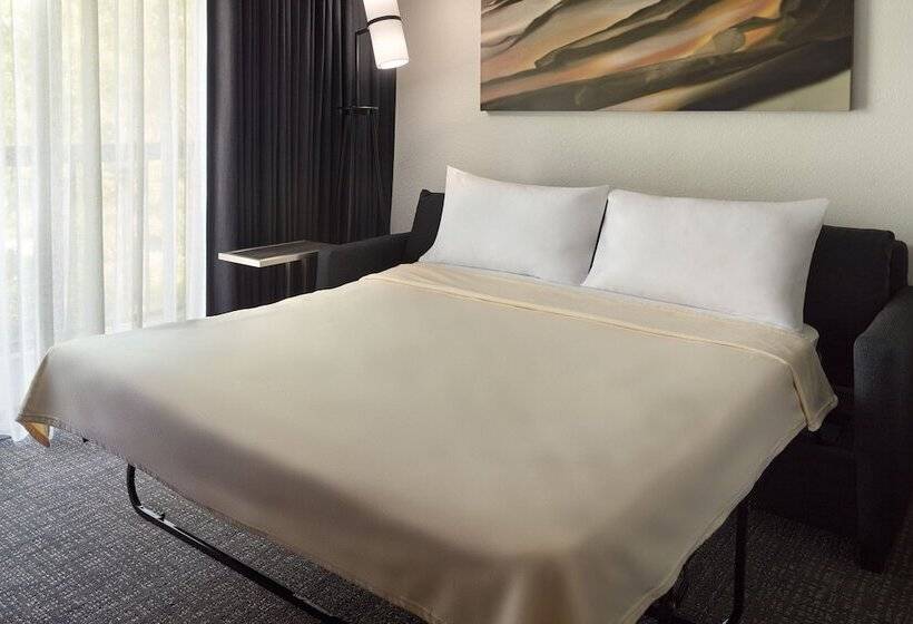 スイート, Courtyard By Marriott Tallahassee Downtown/capital