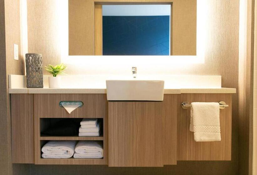 Suite Cama King, Springhill Suites By Marriott South Bend Notre Dame Area