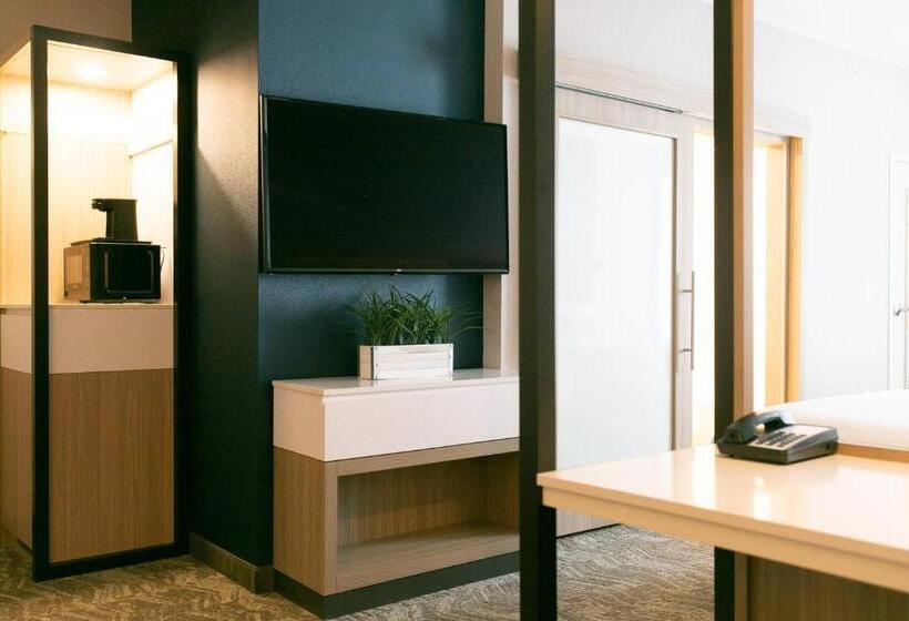 套房, Springhill Suites By Marriott South Bend Notre Dame Area