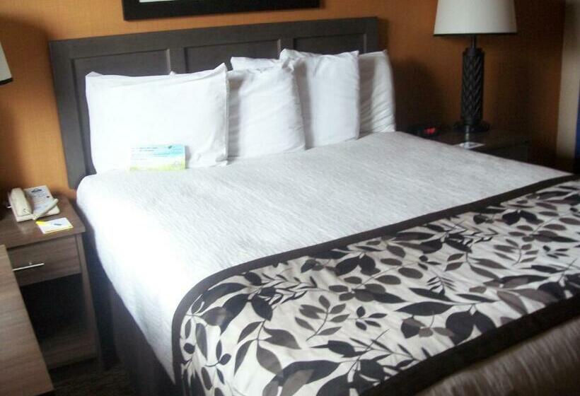 스위트 킹사이즈 침대, Days Inn & Suites By Wyndham Bozeman