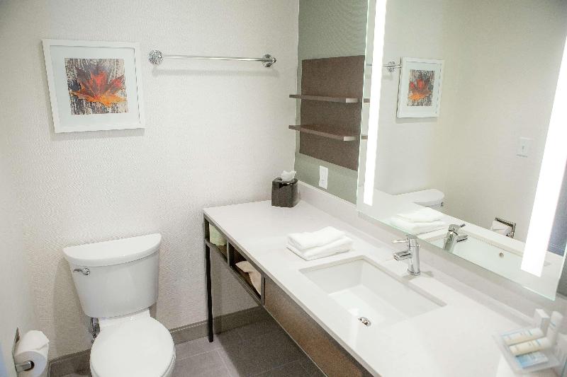 Номер Премиум, Hilton Garden Inn Corning Downtown