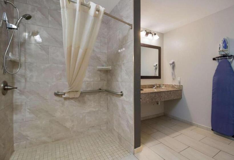 Номер Стандарт Кровать Кинг Адаптированный для Инвалидов, Quality Inn Coliseum