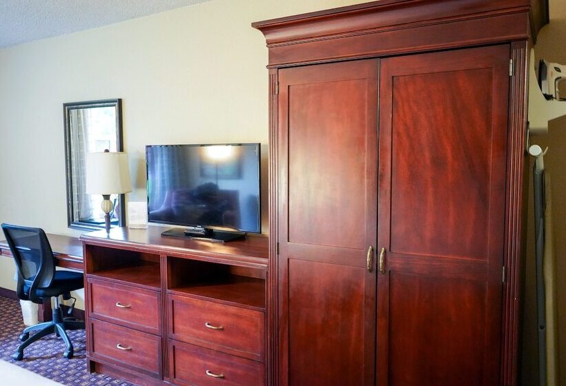 Номер Deluxe, Rosen Inn Lake Buena Vista