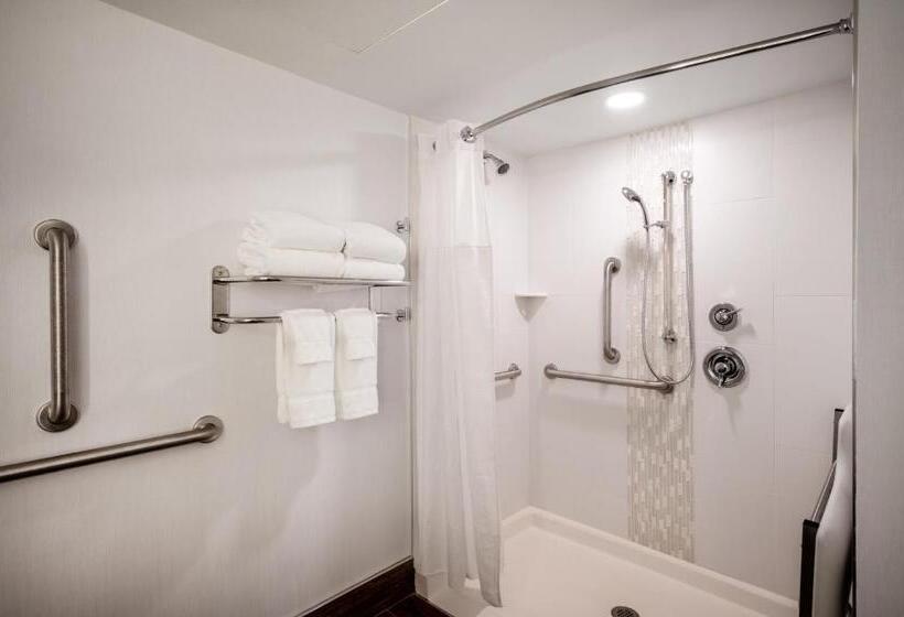 Номер Стандарт Адаптированный для Инвалидов, Crowne Plaza Albany  The Desmond