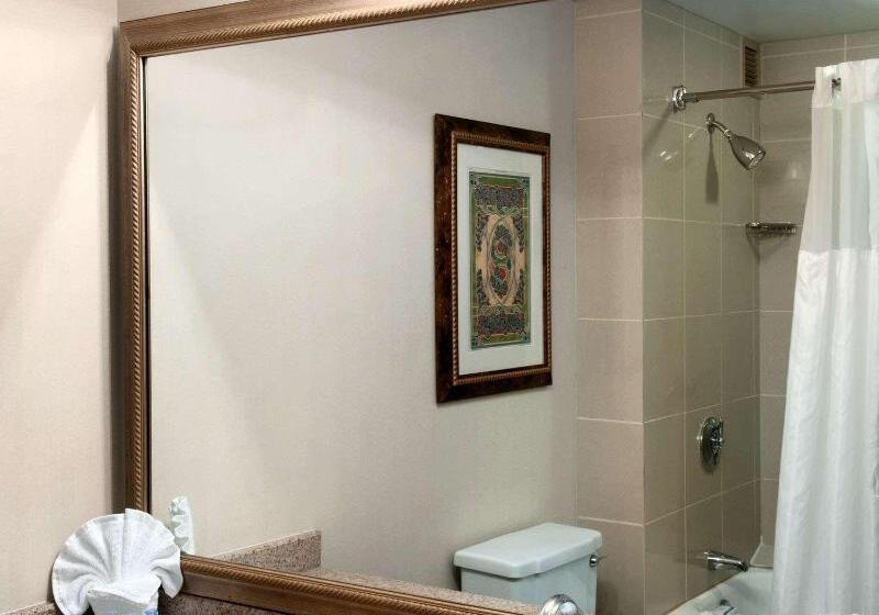 سوئیت با تخت بزرگ, Doubletree By Hilton Tulsa   Warren Place