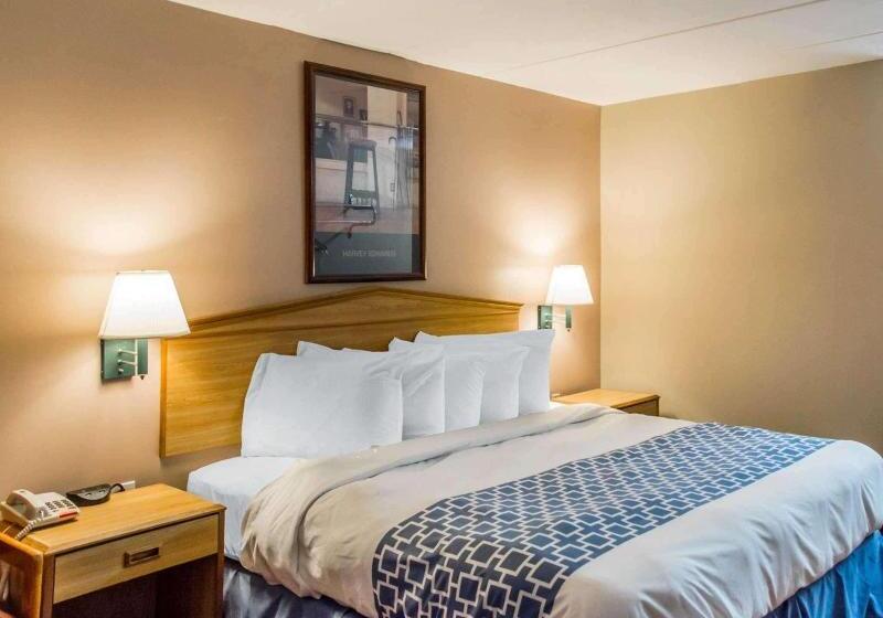 스탠다드 룸 킹사이즈 침대, Econo Lodge Franklin