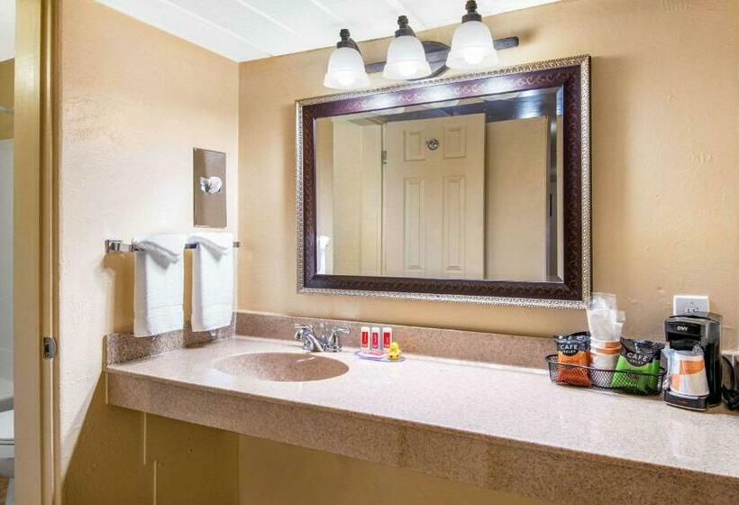 Люкс, Econo Lodge Inn & Suites Durango