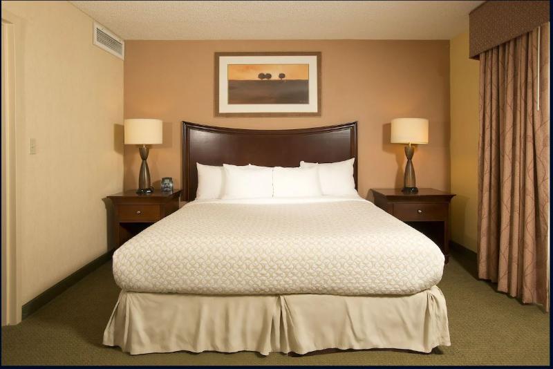 سوئیت اجرایی با تخت کینگ, Embassy Suites By Hilton Tulsa I44