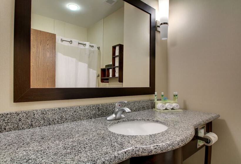 스위트, Holiday Inn Express Hotel Winona North, An Ihg