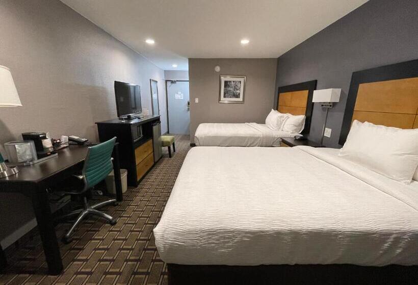 标准间, Quality Inn  Denton
