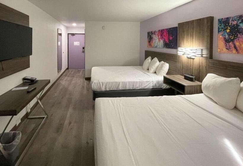 高级大房间, Quality Inn  Denton