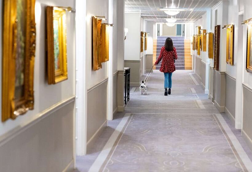 Suíte, The Driskill