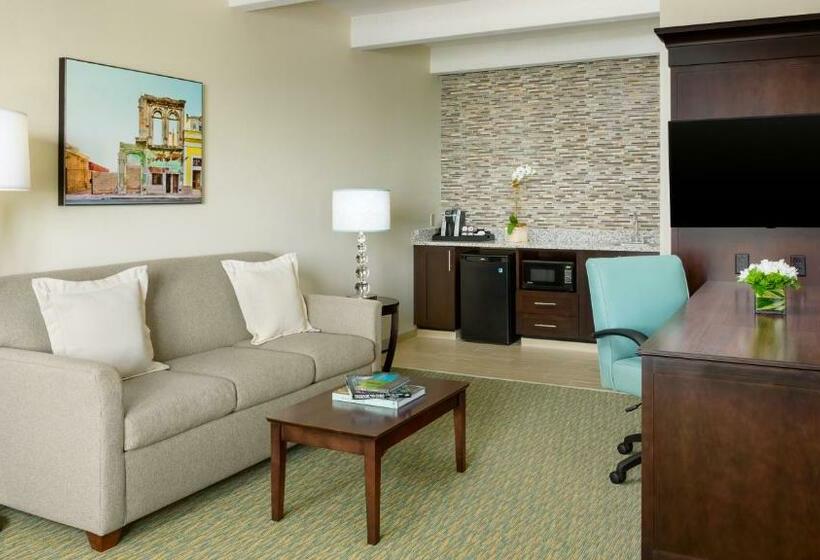 小型套房带海景, 24 North Hotel Key West