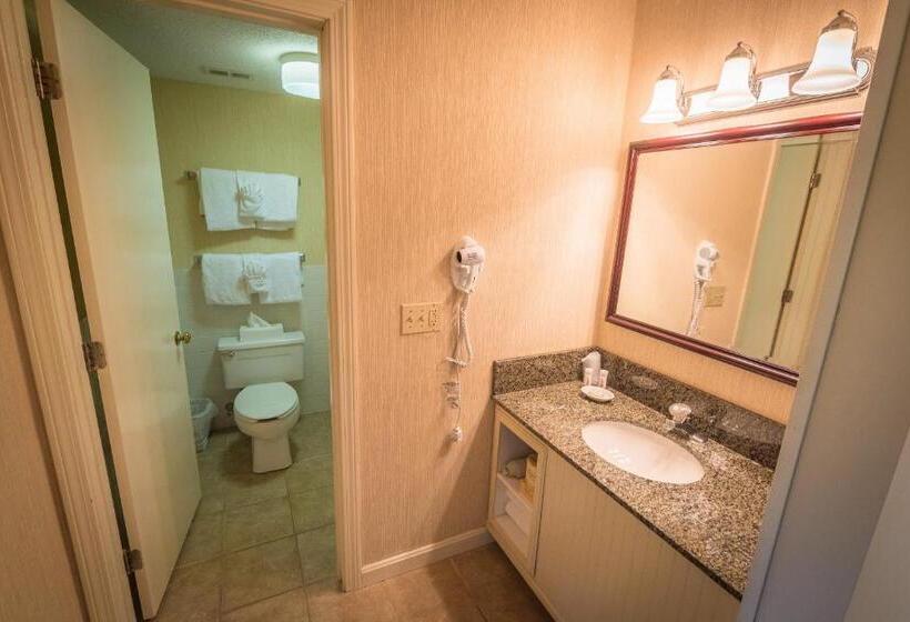 Номер Стандартный с Видом, Fox Ridge Resort