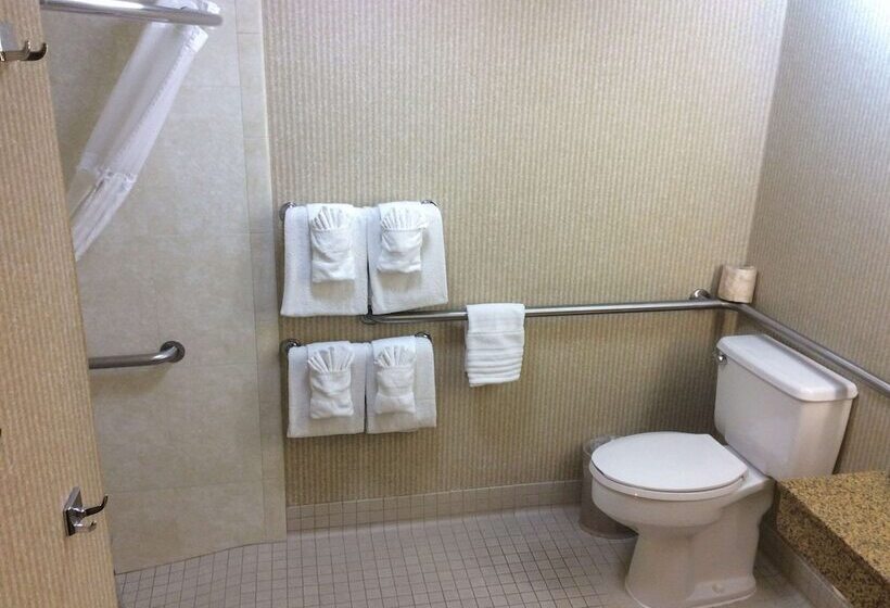 Standard-invahuone King-vuode, Comfort Inn Anaheim Resort