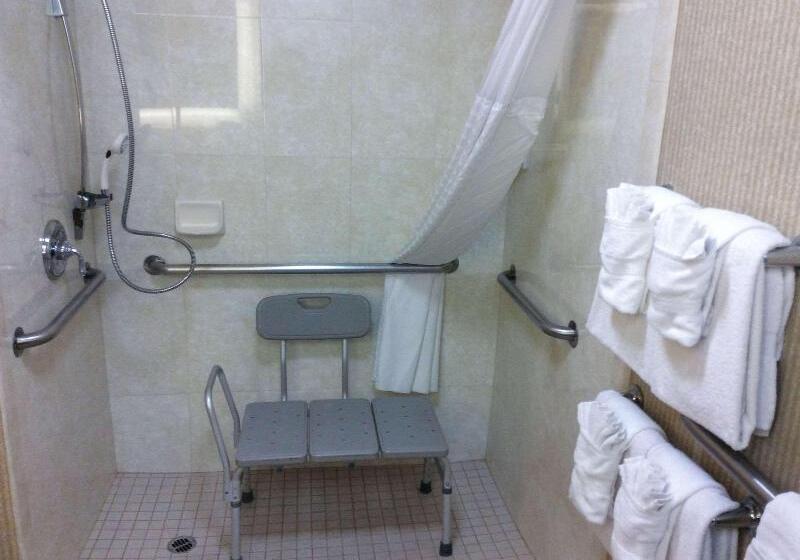 Standard-huone King-vuode, Comfort Inn Anaheim Resort