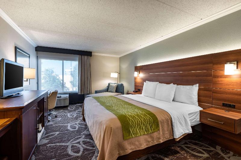 Standard-huone King-vuode, Comfort Inn Anaheim Resort