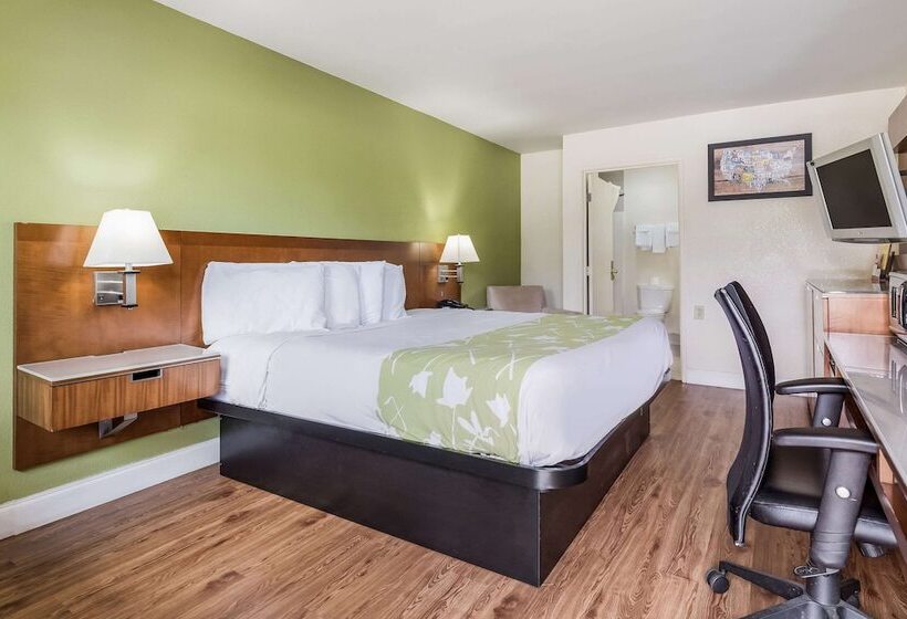 장애인을 위한 더블 침대 스탠다드 룸, Econo Lodge Atlanta Airport East