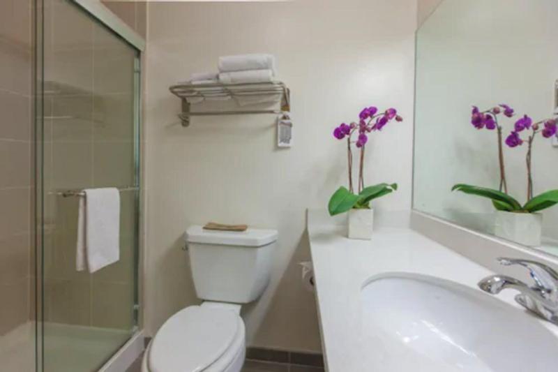 Quarto deluxe, Grant Plaza