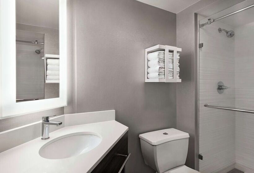 Standard Værelse 2 Dobbeltsenge, Hampton Inn Chicagoo Hare International Airport