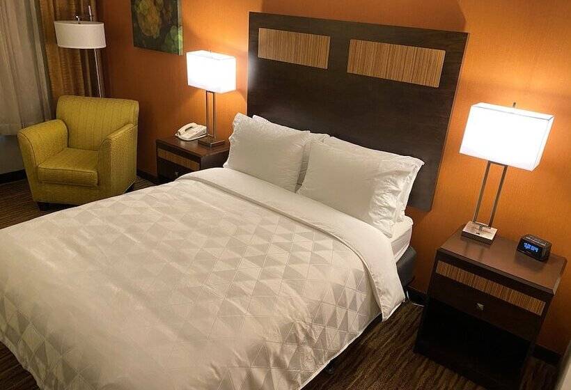 اتاق استاندارد, Comfort Inn & Suites Danbury Bethel