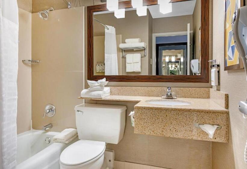 اتاق استاندارد, Comfort Inn & Suites Danbury Bethel