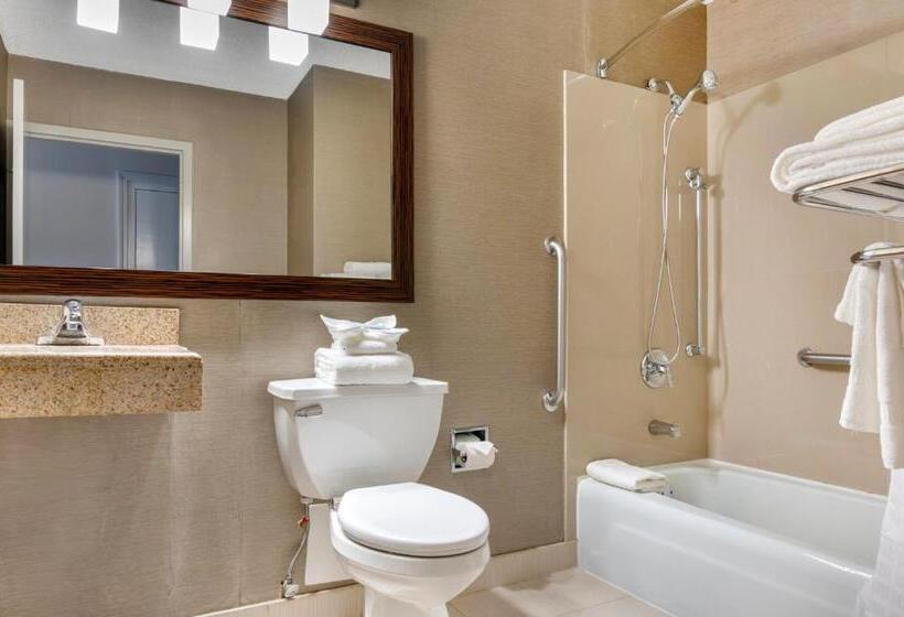 اتاق استاندارد, Comfort Inn & Suites Danbury Bethel