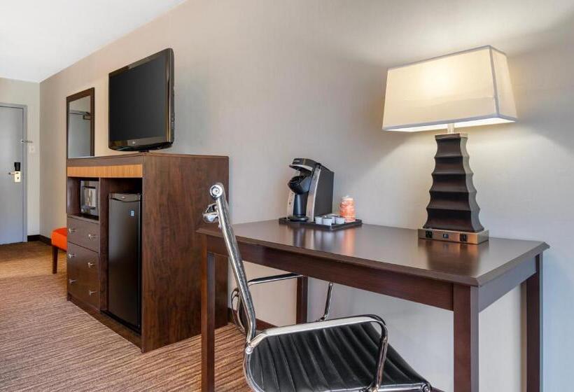 اتاق استاندارد با تخت بزرگ, Comfort Inn & Suites Danbury Bethel