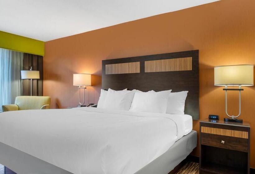 اتاق استاندارد با تخت بزرگ, Comfort Inn & Suites Danbury Bethel