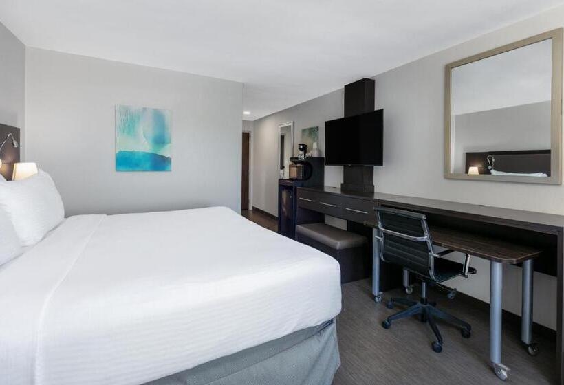 اتاق استاندارد با تخت بزرگ برای معلولان, Wyndham Corpus Christi Resort North Padre Island