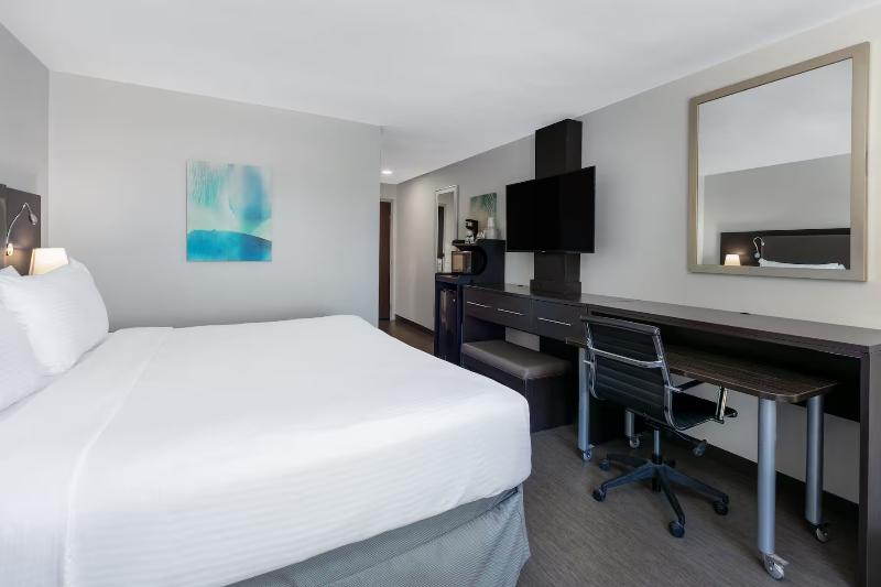 اتاق استاندارد با تخت بزرگ برای معلولان, Wyndham Corpus Christi Resort North Padre Island