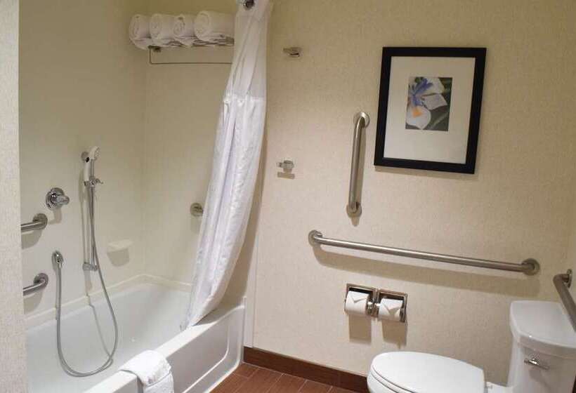 Полулюкс Кровать Кинг, Alex Johnson Rapid City Curio Collection By Hilton