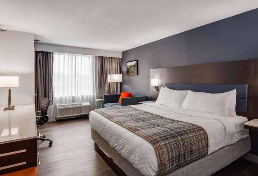 اتاق استاندارد با تخت بزرگ برای معلولان, Best Western Premier Richmond City Gateway