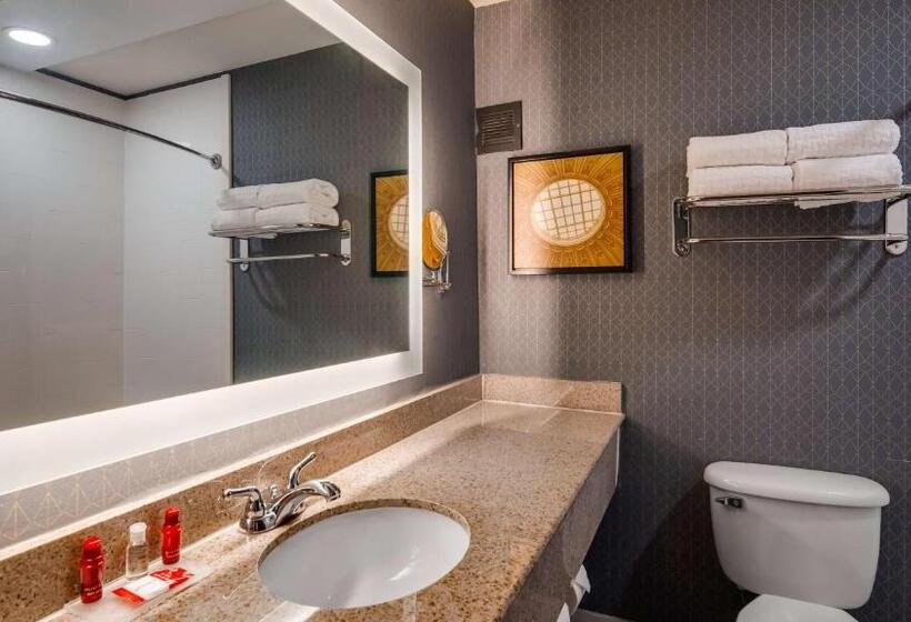اتاق استاندارد با تخت بزرگ, Best Western Premier Richmond City Gateway
